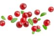 cranberries