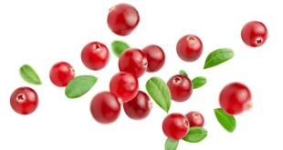 cranberries