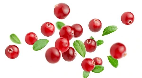 cranberries