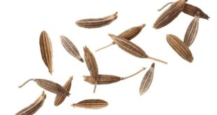 cumin seeds