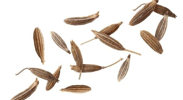 cumin seeds