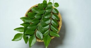 curry leaves