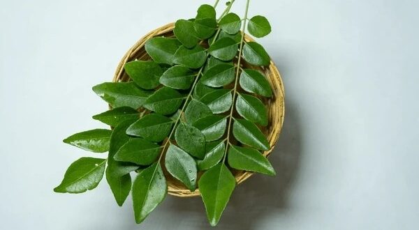 curry leaves