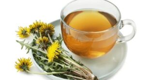 dandelion root tea