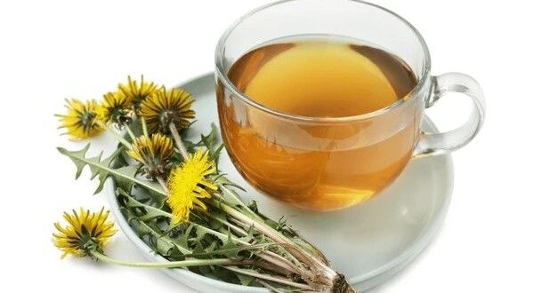 dandelion root tea