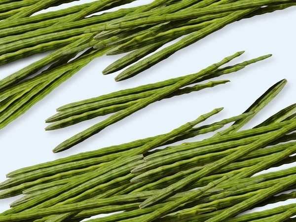 drumstick