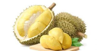 durian