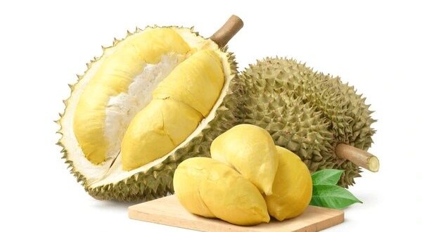 durian