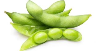 edamame