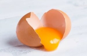 egg yolk