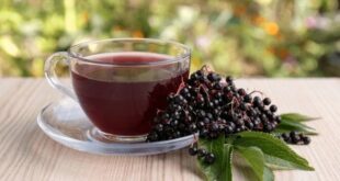 elderberry tea