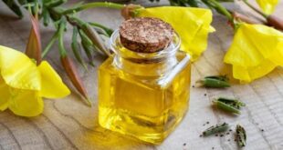 evening primrose oil