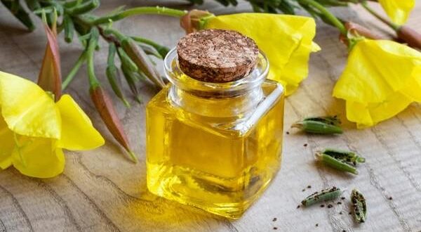 evening primrose oil