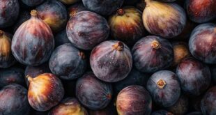 figs