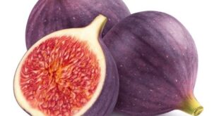 figs for men