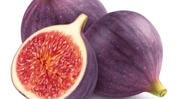 figs for men