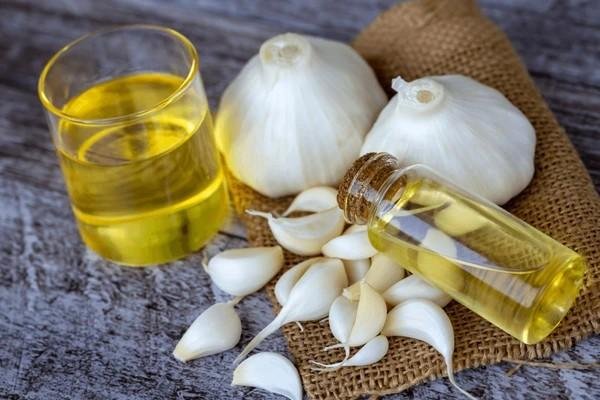 garlic oil