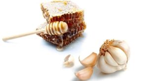 garlic with honey