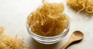 irish sea moss