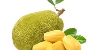 jackfruit