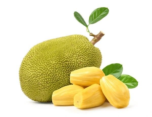 jackfruit