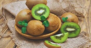 kiwi fruit