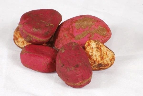 kola nuts