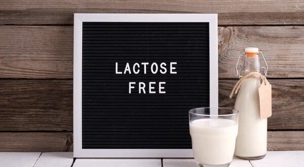 lactose free milk