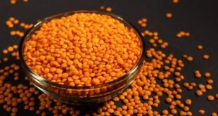 lentils