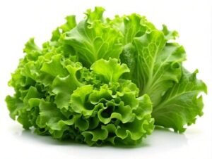 lettuce