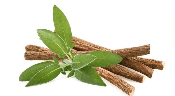 licorice root