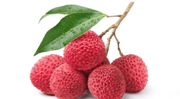 litchi