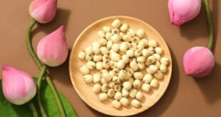 lotus seed