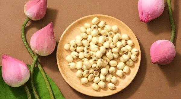 lotus seed