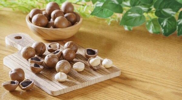 macadamia nuts