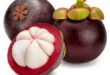 mangosteen