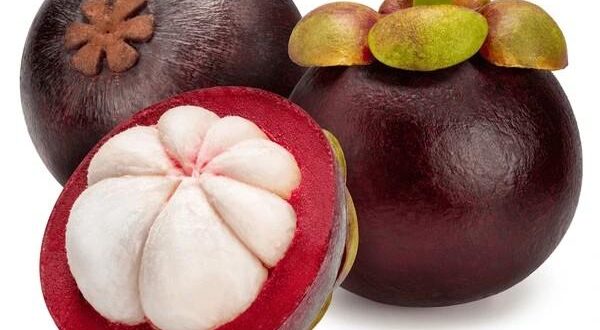 mangosteen