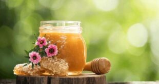 manuka honey