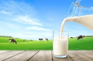 milk