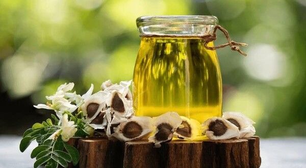 moringa oil