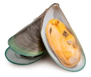 mussels