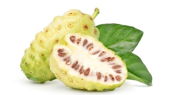 noni