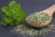 oregano