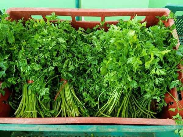 parsley