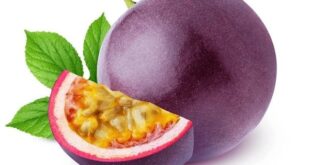 passion fruit