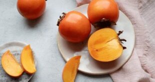 persimmon