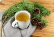 pine needle tea