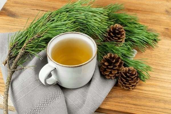 pine needle tea