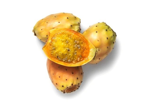 prickly pear