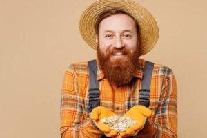 pumpkin seed for men